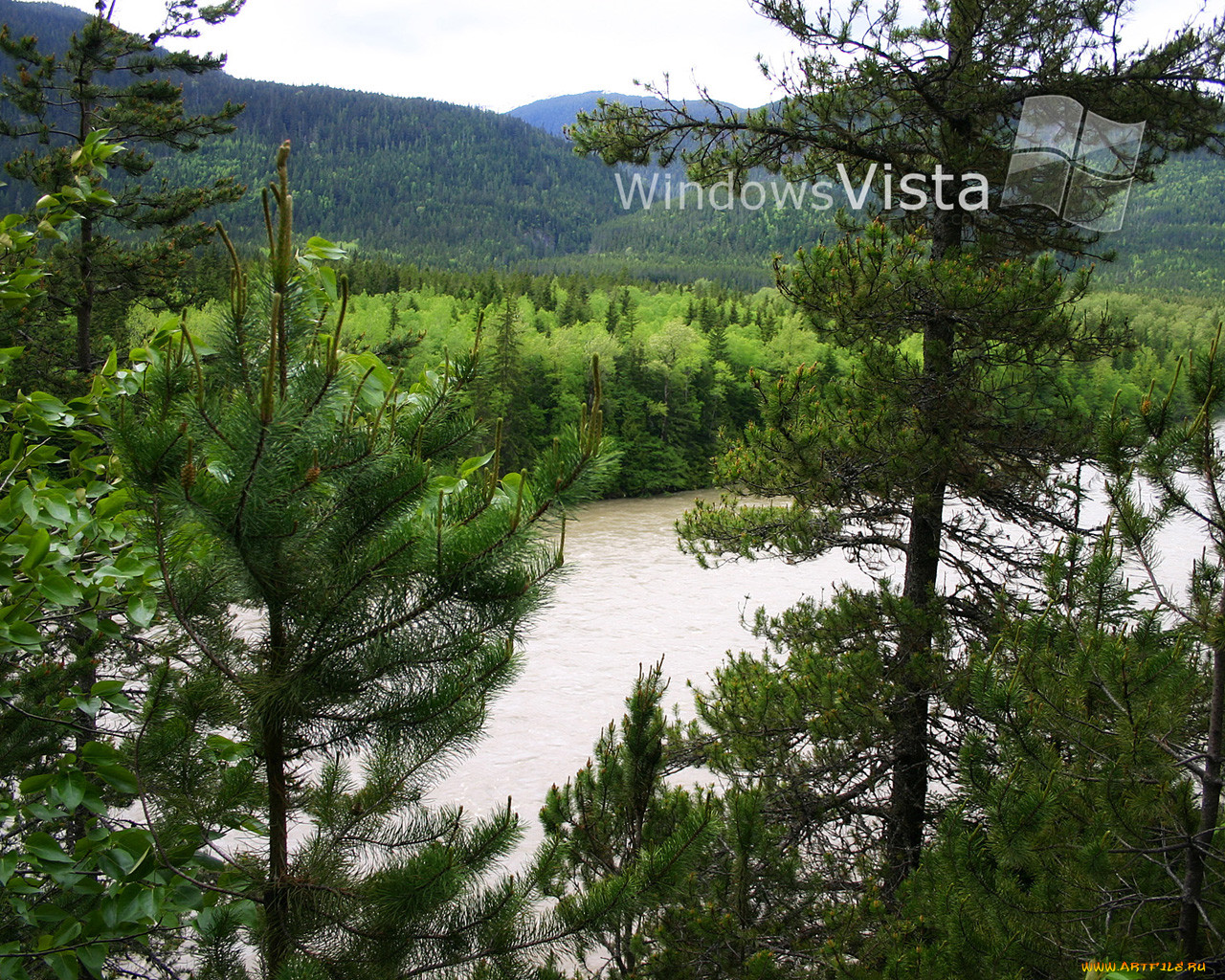 , windows, vista, longhorn